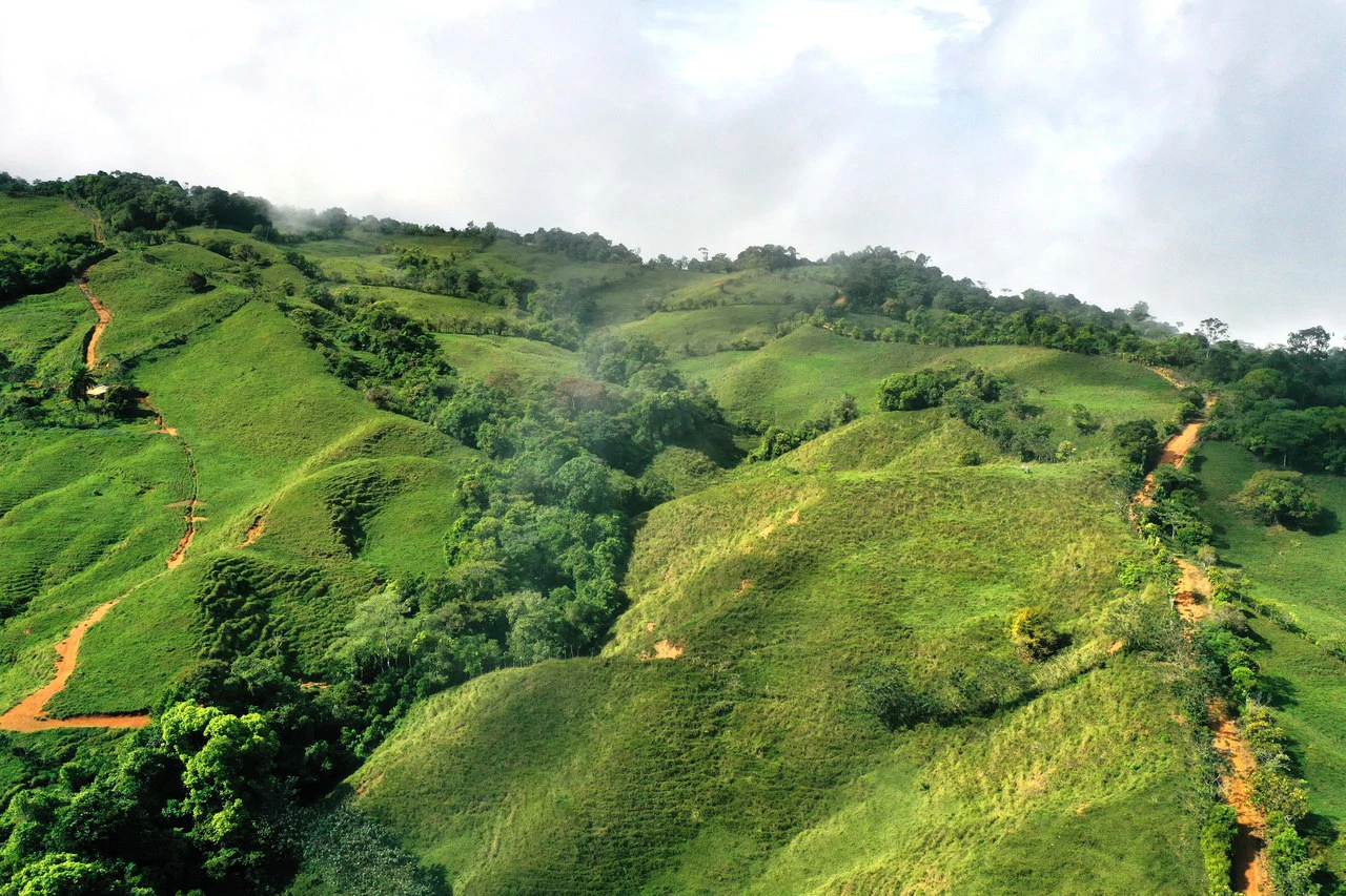 150 Acre Cattle Ranch with Panoramic Views Above the mountains of Uvita - Gallery image 8
