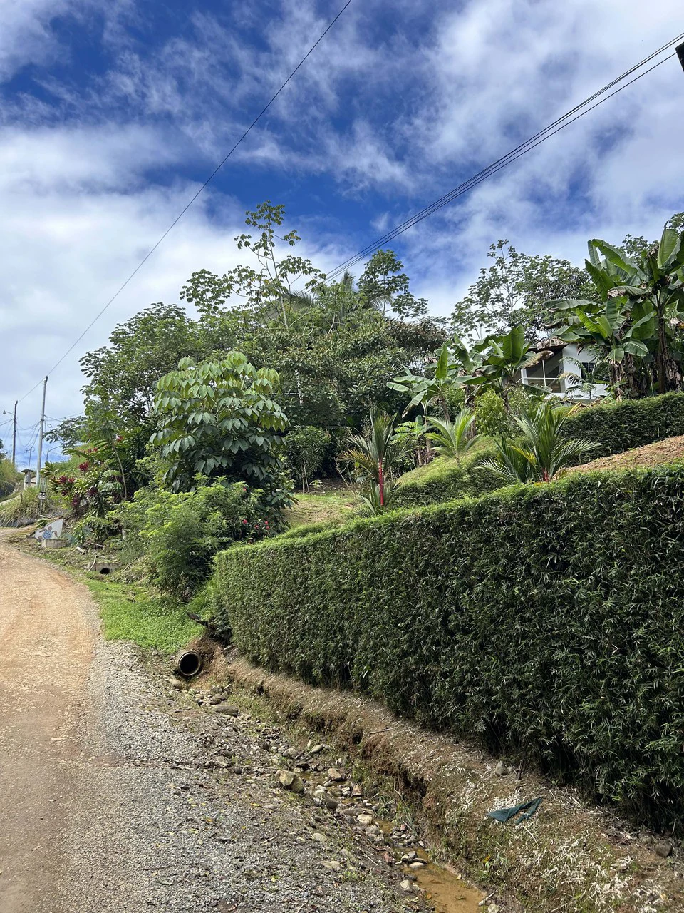 Playa Hermosa: Two Locations to Build, Permits Ready - Gallery image 17