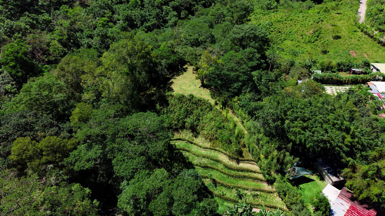 Riverfront Mushroom Farm & Private Waterfall Residence in Orosi - Gallery image 75