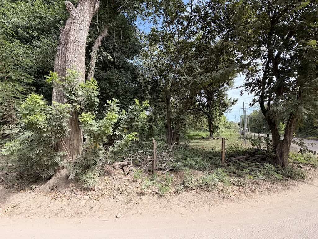 Build-Ready Lot: Palm Beach Estates - photo 3