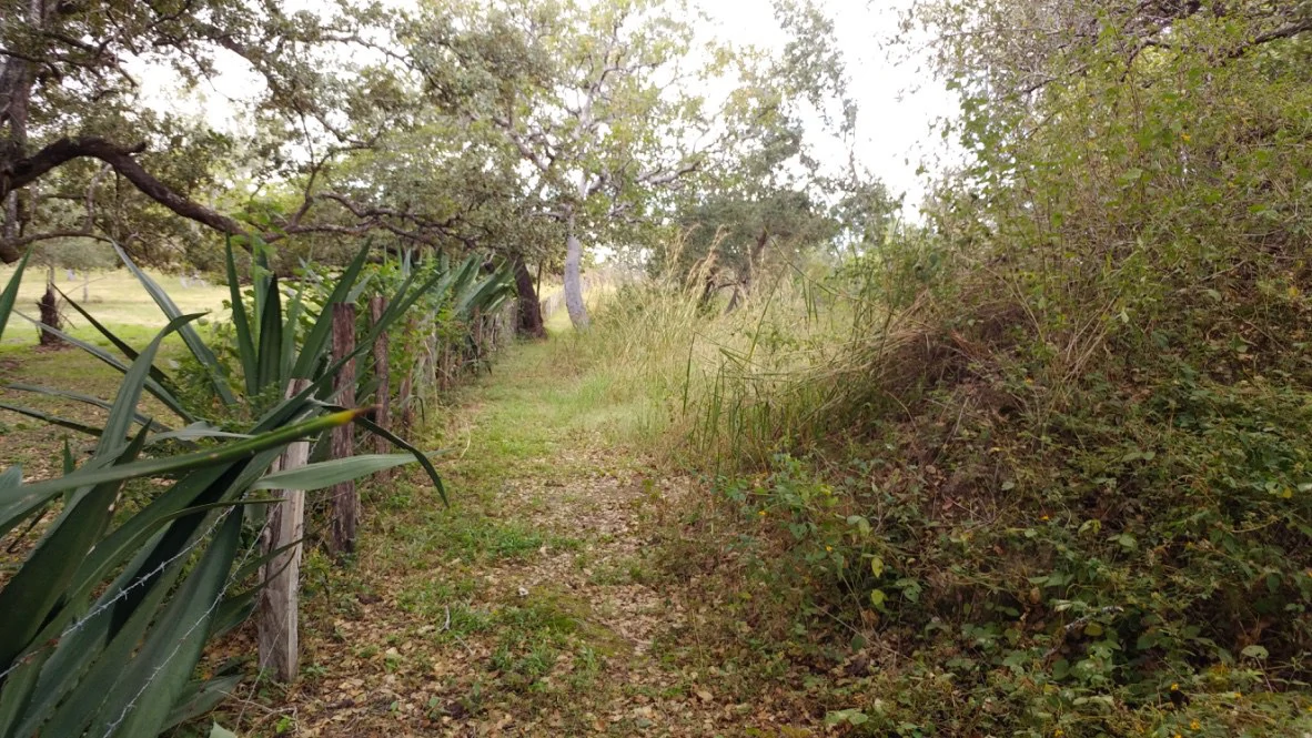 Mountain Farm for Sale in Liberia – Nature, Privacy, and High Investment Potential - Gallery image 10