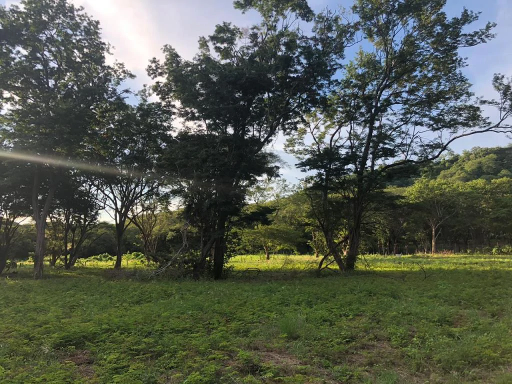 Large Commercial Property in Playa Hermosa, Guanacaste, Costa Rica - Gallery image 8