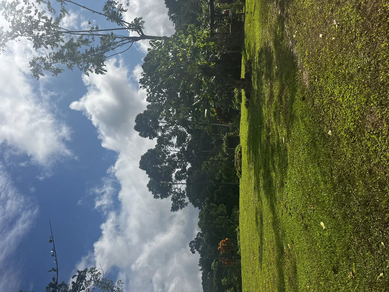 SPECTACULAR ECOLOGICAL MOUNTAIN FARM IN BIJAGUAL DE TURRUBARES - Gallery image 28