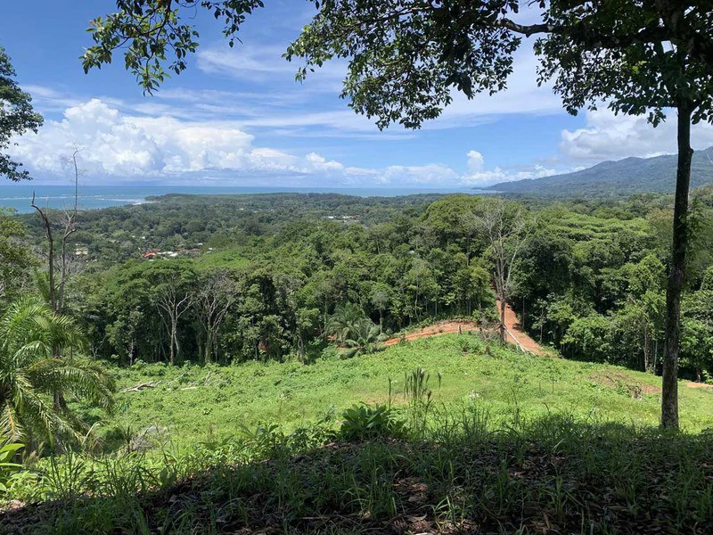 Stunning Ocean View Property in Uvita - Gallery image 2