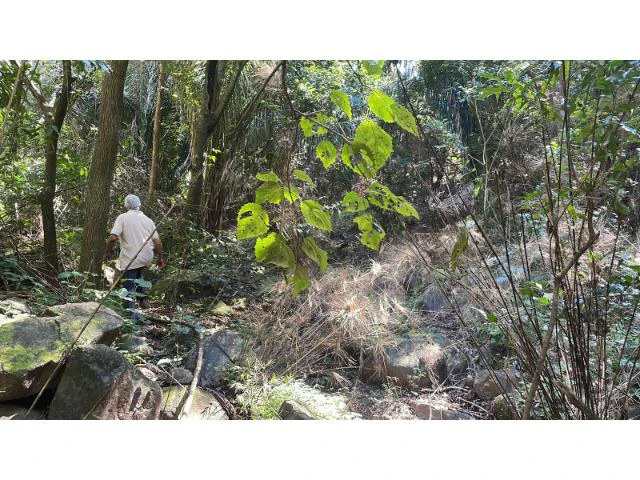 Nature Paradise Farm for sale in the mountains of Quebrada Grande, Building potential property 30 minutes away from Liberia - Gallery image 15