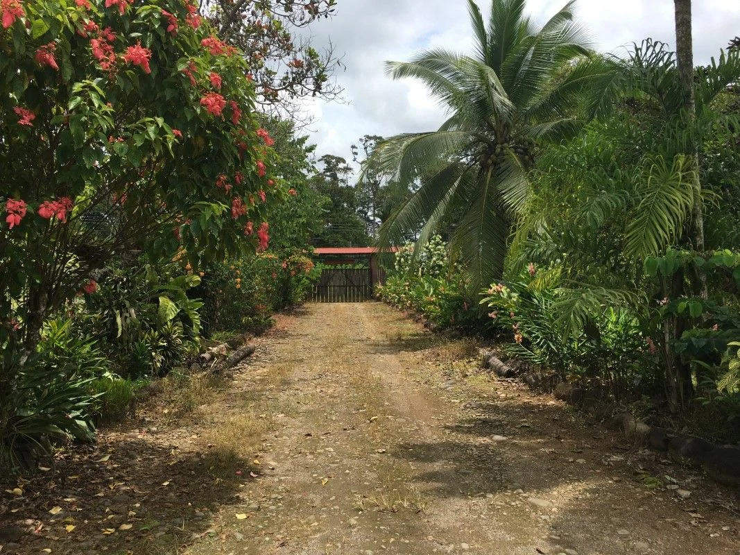 farm for sale Horquetas Sarapiquí Heredia Costa Rica - Gallery image 2