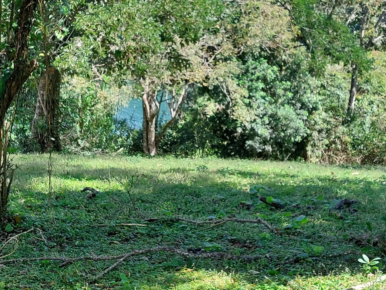 LAGO AZUL: Lake View lot of just under 1 acre - Gallery image 8