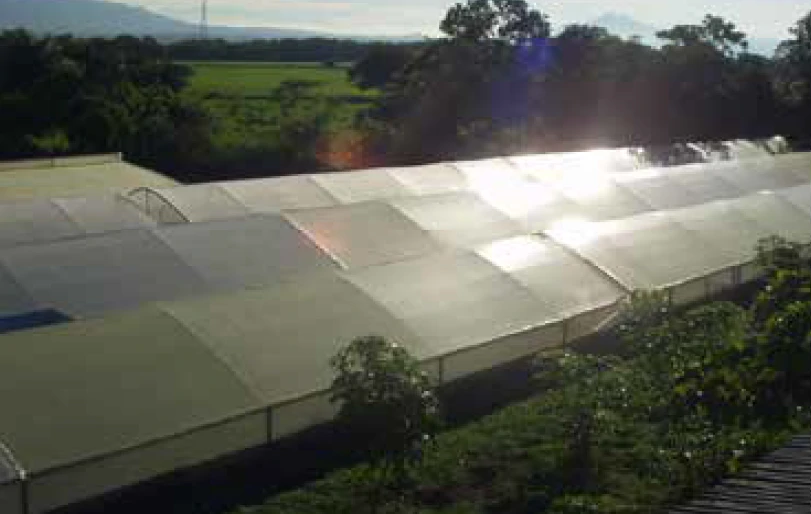 Spirulina Farm for Sale in Liberia, Guanacaste – Productive, Sustainable Business Ready to Generate Income - Gallery image 5