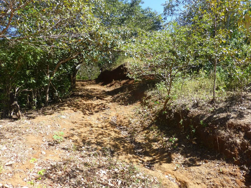 Ocean view farm for sale in the mountains of San Juanillo - Gallery image 25