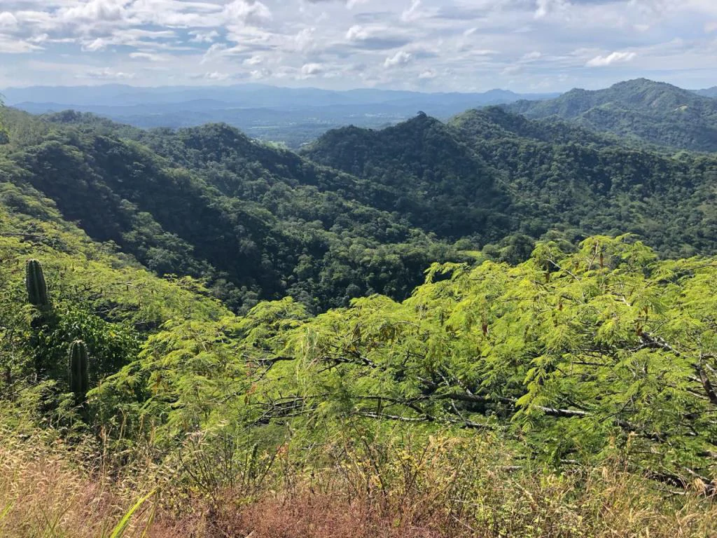 Ocean View Property with Panoramic Views on the Pacific Gold Coast – Guanacaste - Gallery image 11