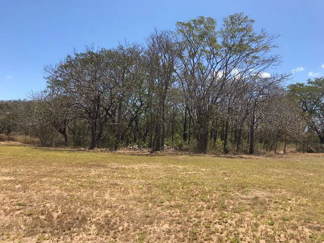 Huge terrain for sale in Guardia close to the International Airport of Liberia - Gallery image 4
