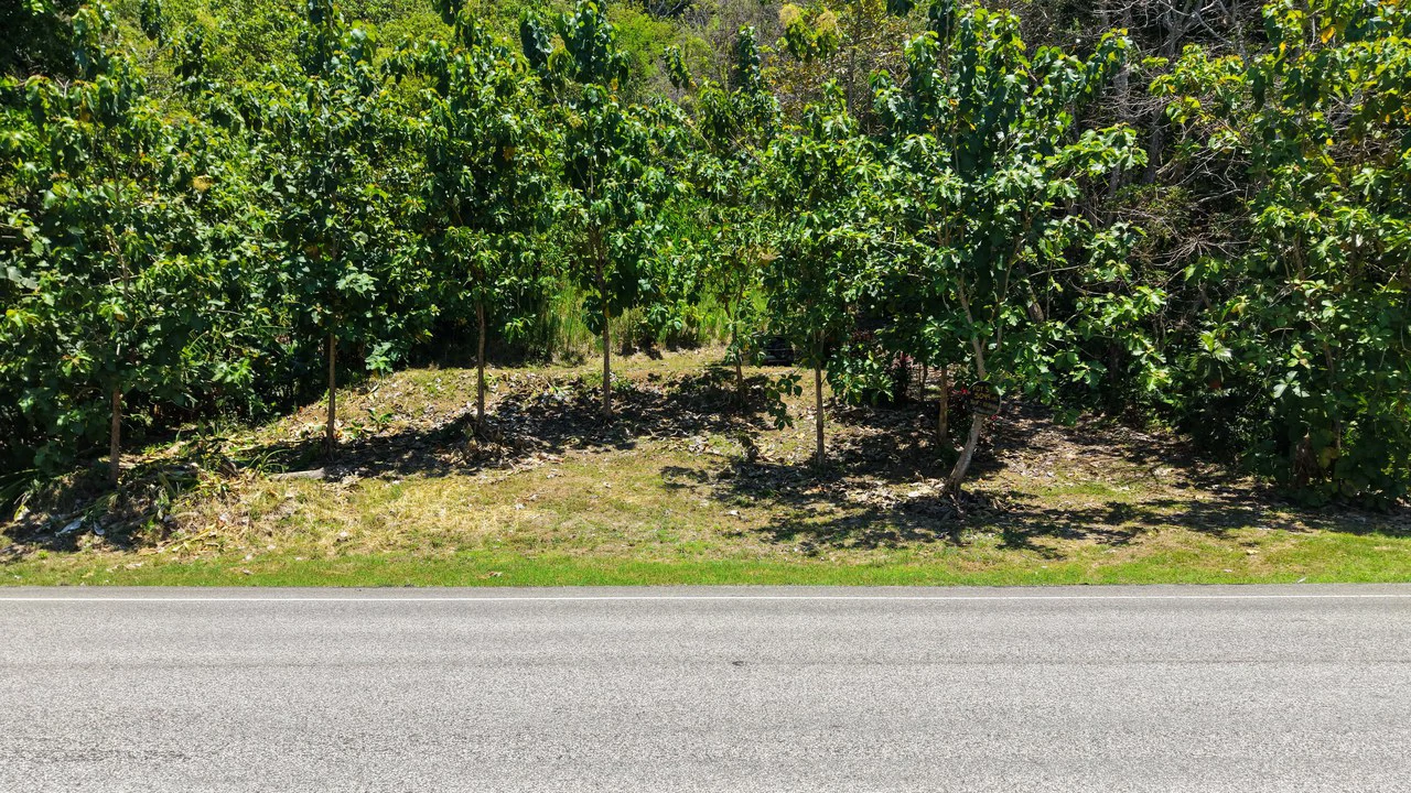 Near the Coast Home Construction Site For Sale in Ciudad Cortés - Gallery image 16