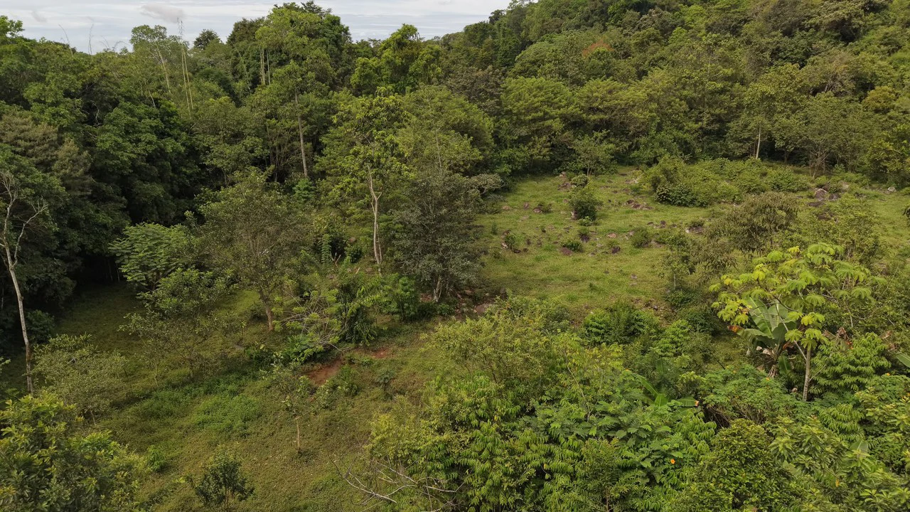 Mountain Home Construction Site For Sale in San Isidro del General - photo 13