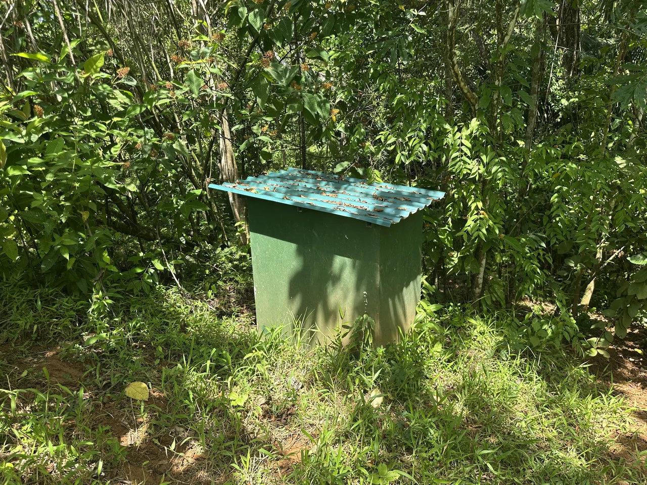 8.78 Acres Mountain View Estate with Water, Infrastructure & Endless Development Potential | Platanillo de Barú, Costa Rica - photo 12