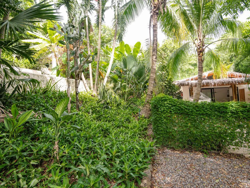 Property with 3 homes and pool: Tropical Gardens steps to the Beach in Mal País and minutes to Santa Teresa - Gallery image 25