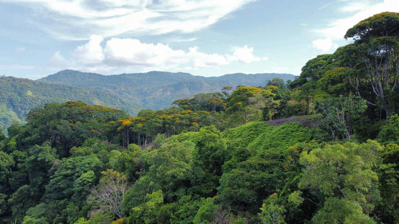 Los Nenes: Mountain Home Construction Site For Sale in Uvita - Gallery image 5