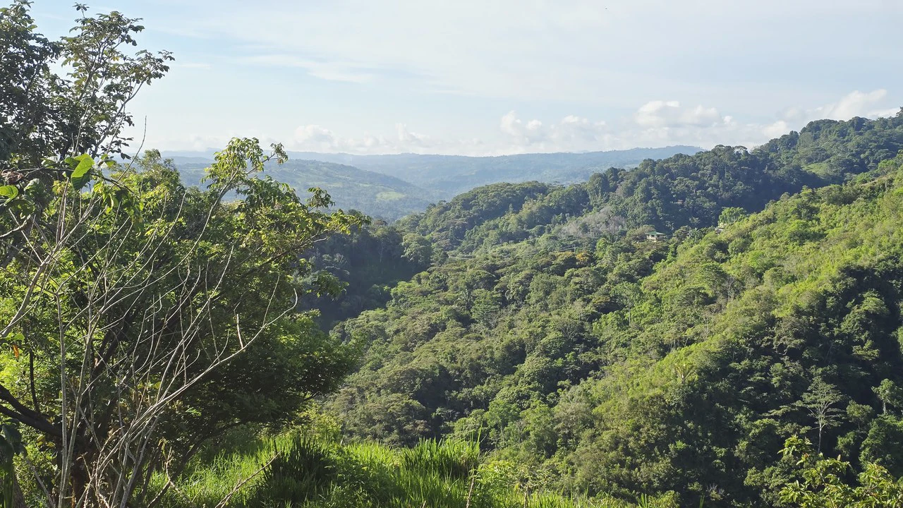 Mountain Agricultural Land For Sale in San Isidro del General - Gallery image 5