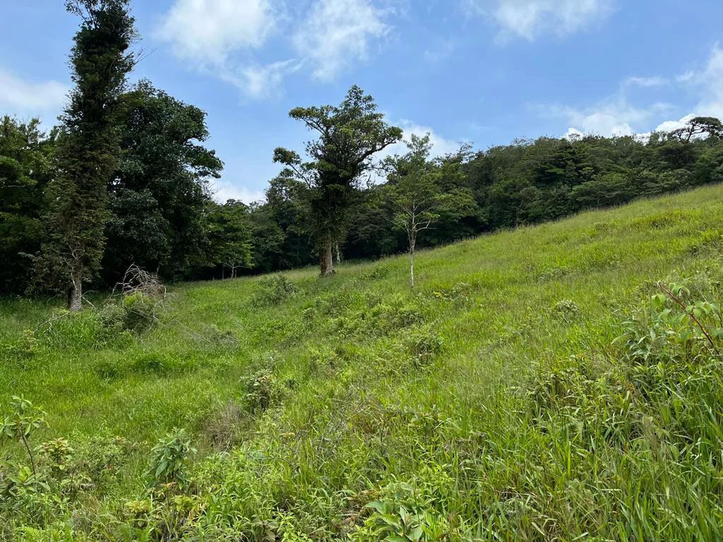 Fantastic property near Biological Reserve - Gallery image 9