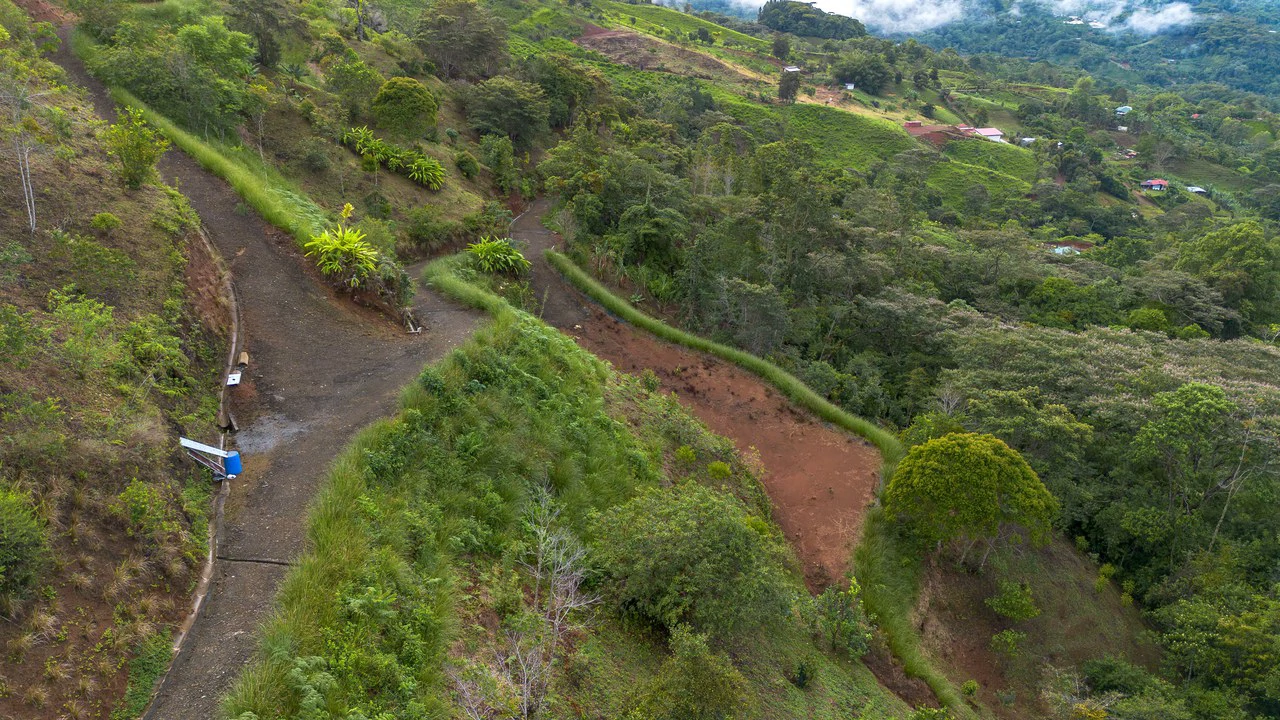 10.21 Acres with Views & Plantels – Pérez Zeledón - Gallery image 11