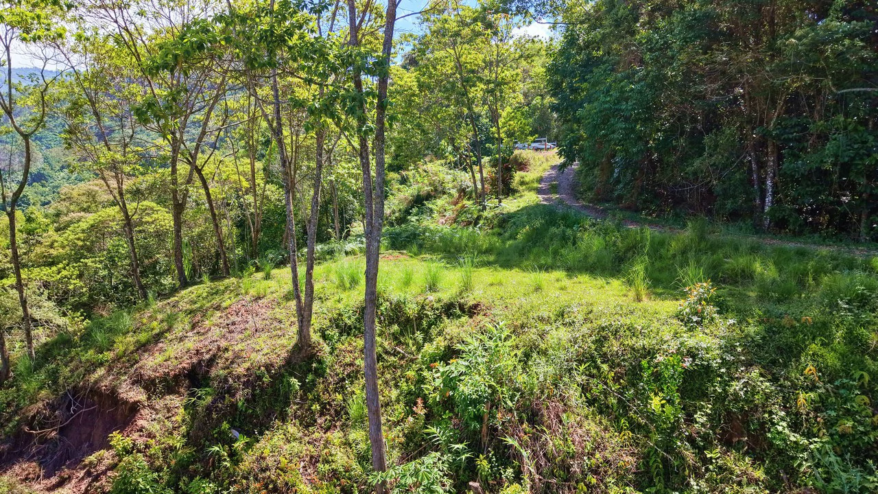 Mountain Home Construction Site For Sale in Guadalupe - Gallery image 5