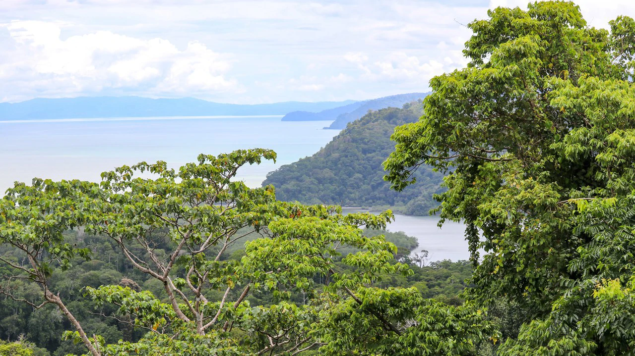 Unique Development Property Overlooking the Pristine Golfito Bay and Golfo Dulce - Gallery image 10