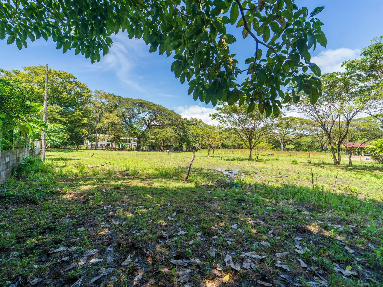 Campo del Sol Lot: 0.58 Acre Lot In Between 2 Beaches - Gallery image 2