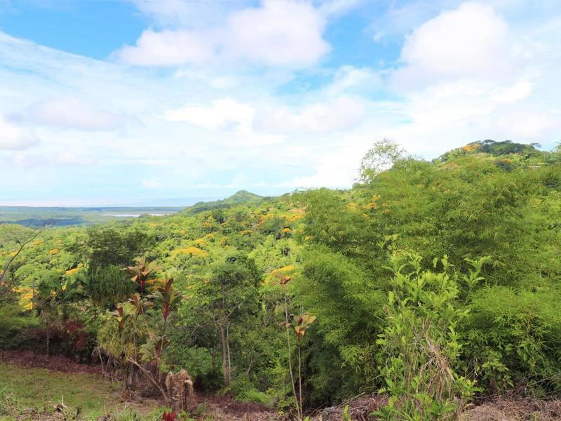 Captivating 3.15-Acre Property: Huge Pricedrop! Firesale Oceanview Lot in Tres Rios - Gallery image 24