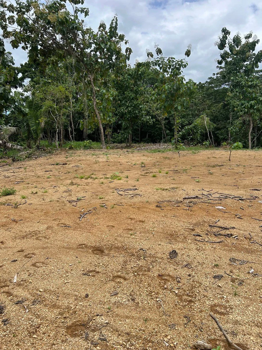 River Frontage Lot For Sale in Costa Rica Residential & Commercial Zoning - Gallery image 21