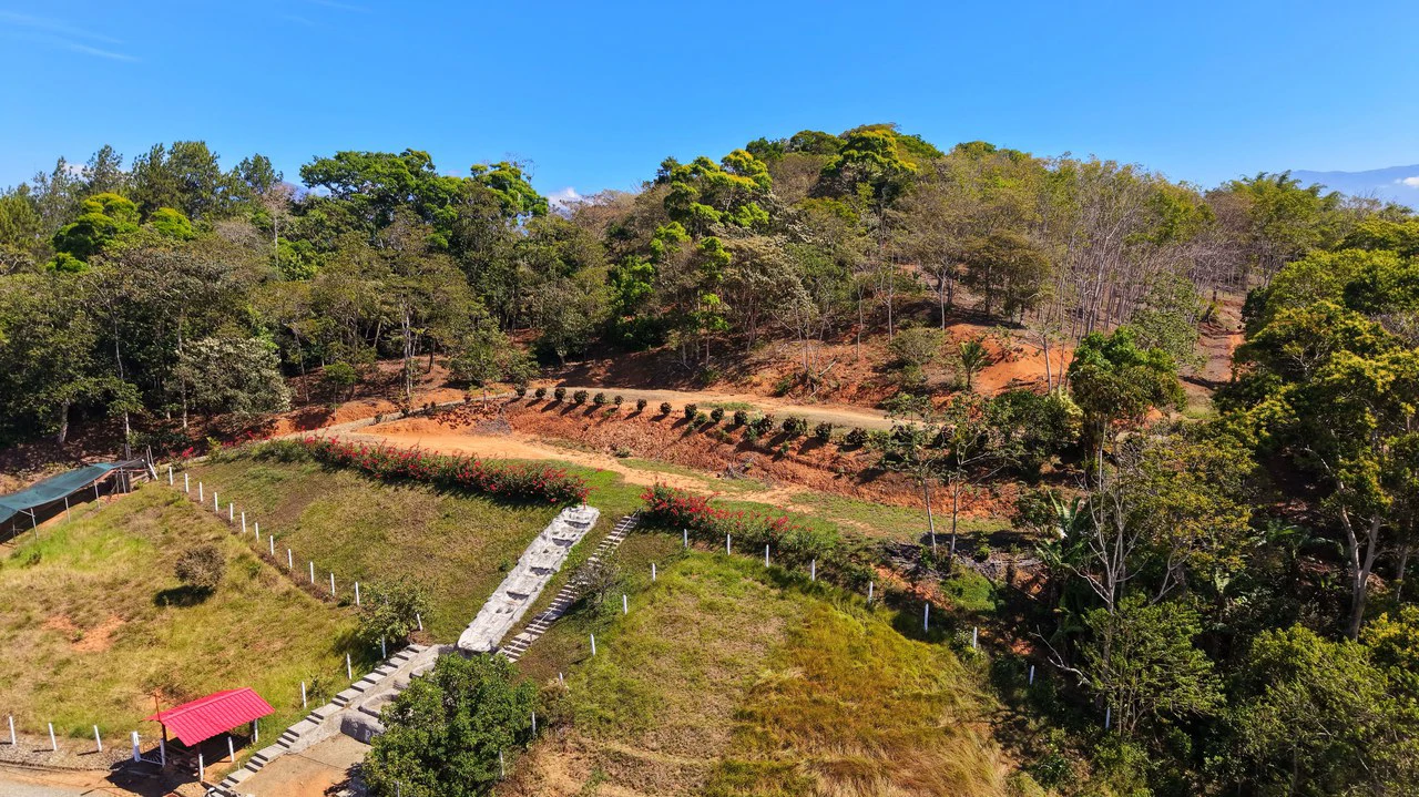 Agricultural Land For Sale in Daniel Flores - Gallery image 3