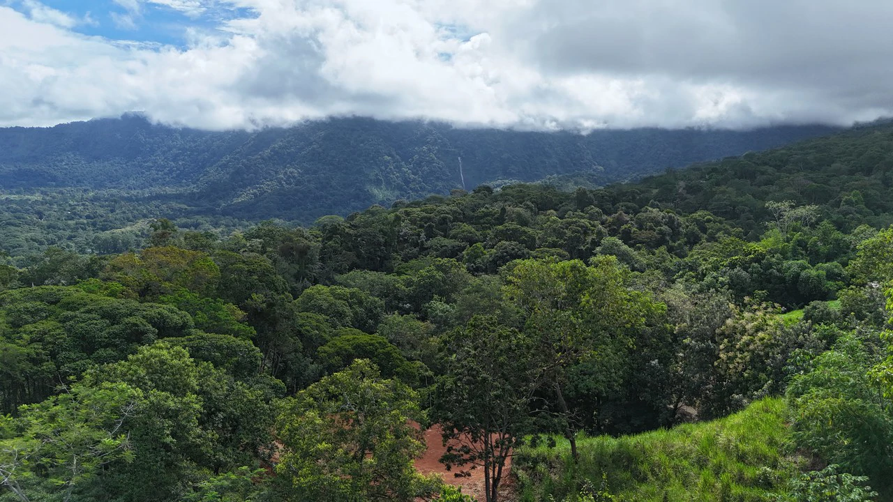 HOLOS Community Modern 2-Bedroom Mountain Home with Diamante Waterfall Views - photo 31