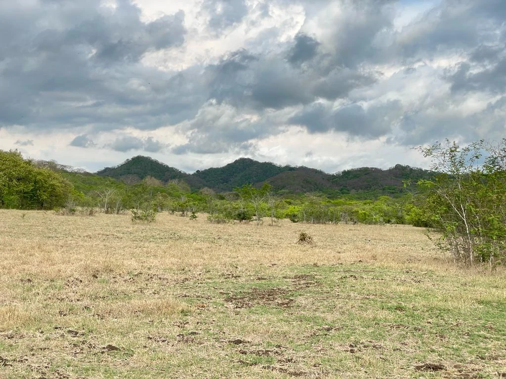 Farm for Sale to Develop Guanacaste Costa Rica - Gallery image 7