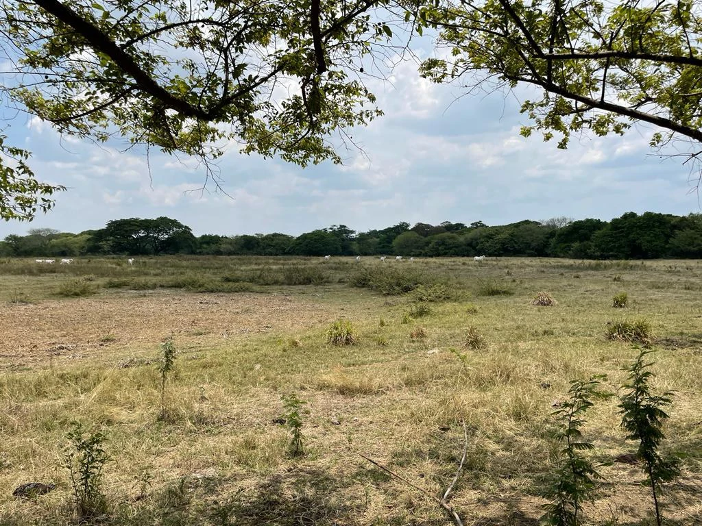 Farm for Sale to Develop Guanacaste Costa Rica - Gallery image 5