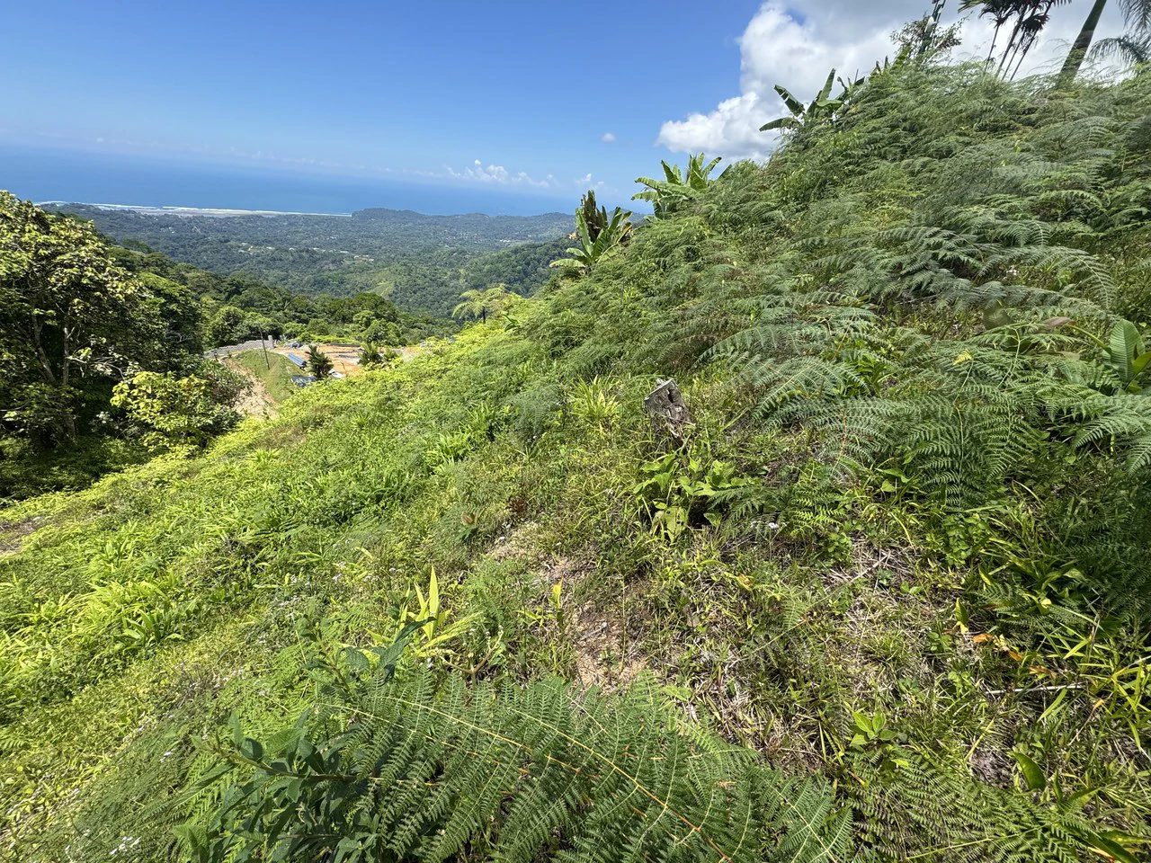 Ocean View Homesite with Panoramic Coastline Vistas in Ojochal - Gallery image 2