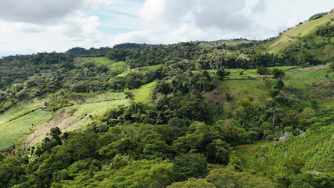 Mountain Agricultural Land For Sale in San Isidro del General - Gallery image 8