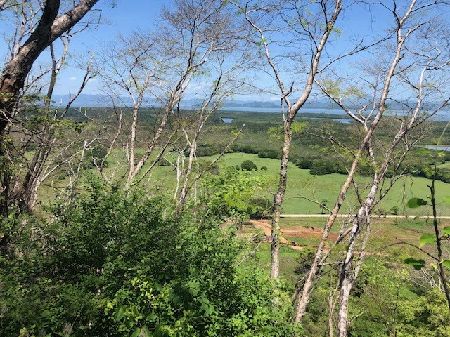 Amazing 50% discount for Huge ocean-view farm for sale surrounded by soft rolling hills and pristine nature - Gallery image 3