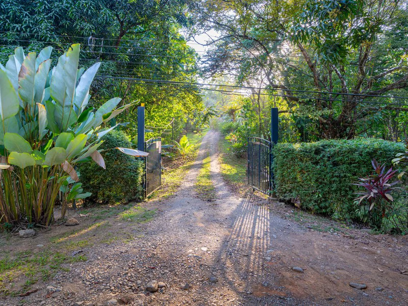 Ocean-View Oasis on Coveted Calle Perezoso - Gallery image 14