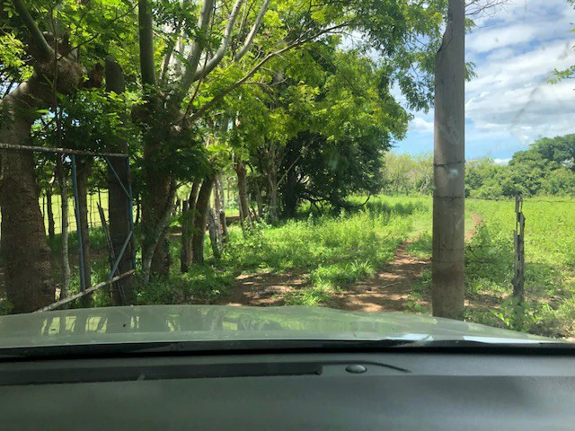 Amazing 50% discount for Huge ocean-view farm for sale surrounded by soft rolling hills and pristine nature - Gallery image 18