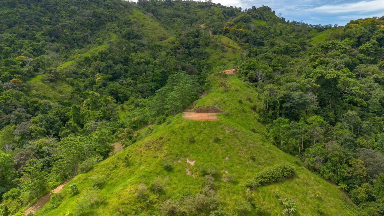 60+ Hectares in Platanillo | Own Your Own Mountain in Costa Rica - Gallery image 40