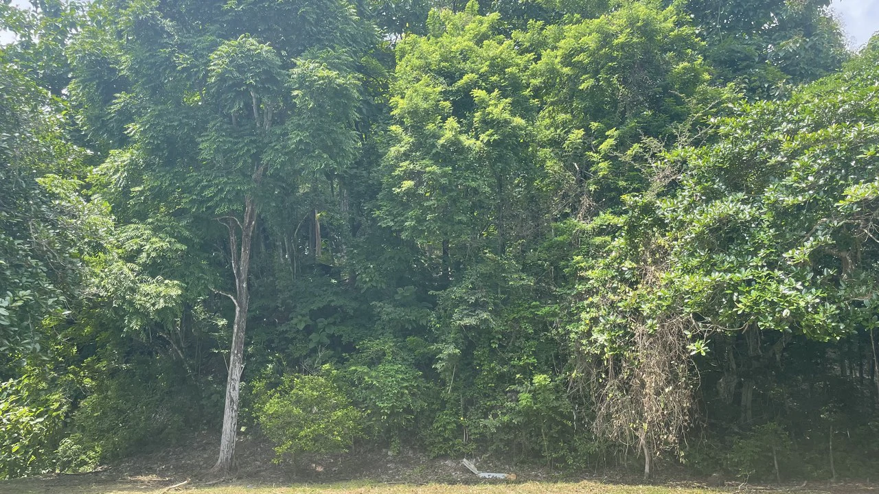 Lote playa Pita Puntarenas:    Your Opportunity on Costa Rica’s Central Pacific Coast - Gallery image 13
