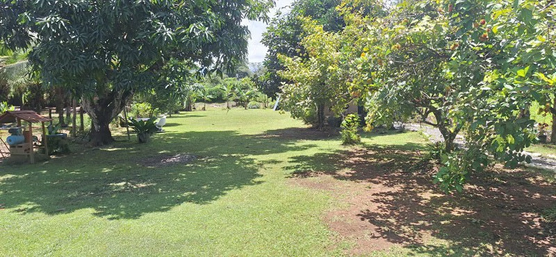 Versatile Commercial Property with Excellent Expansion Potential Quepos - Gallery image 21