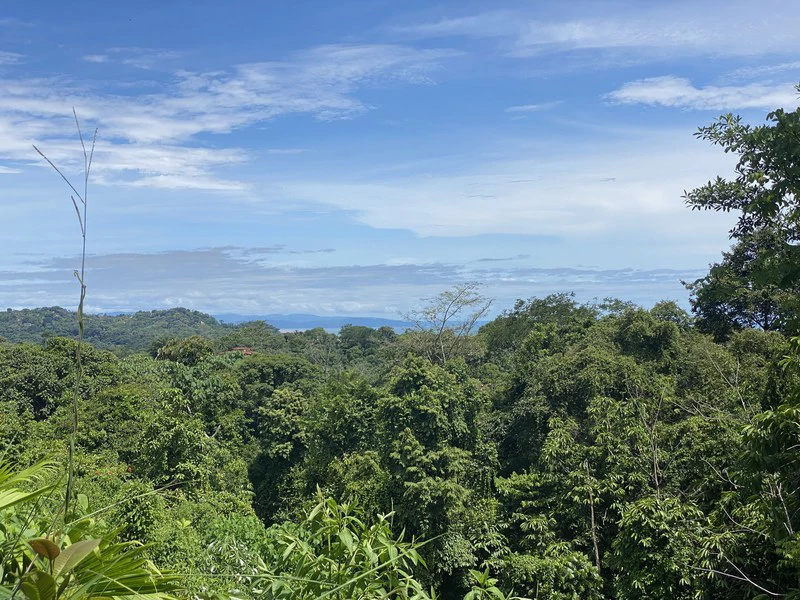 Exquisite Jungle property with Ocean View | Gated Community in Ojochal