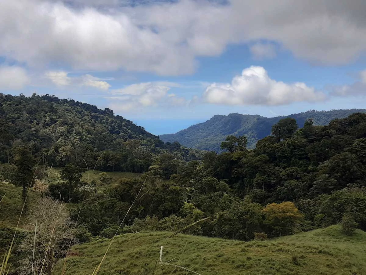Finca Tesoro Escondido - The Jewel of Uvita - Gallery image 87