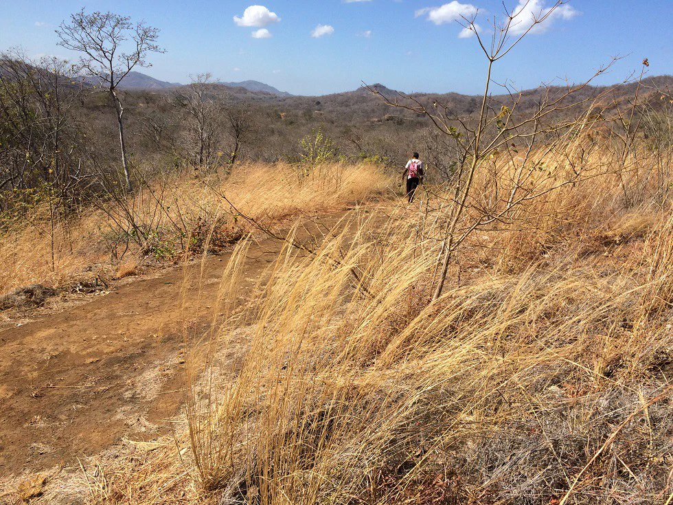 Ocean view property in the area of Guanacaste, great commercial opportunity near the Hotel Riu - Gallery image 16