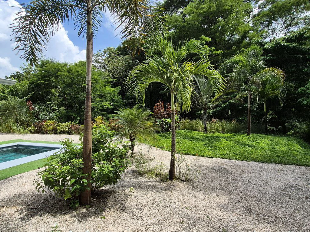 Casa Amapola: PRICE REDUCTION - Turnkey Modern Home with Pool in a Serene Tropical Setting, very close to Samara - Gallery image 29