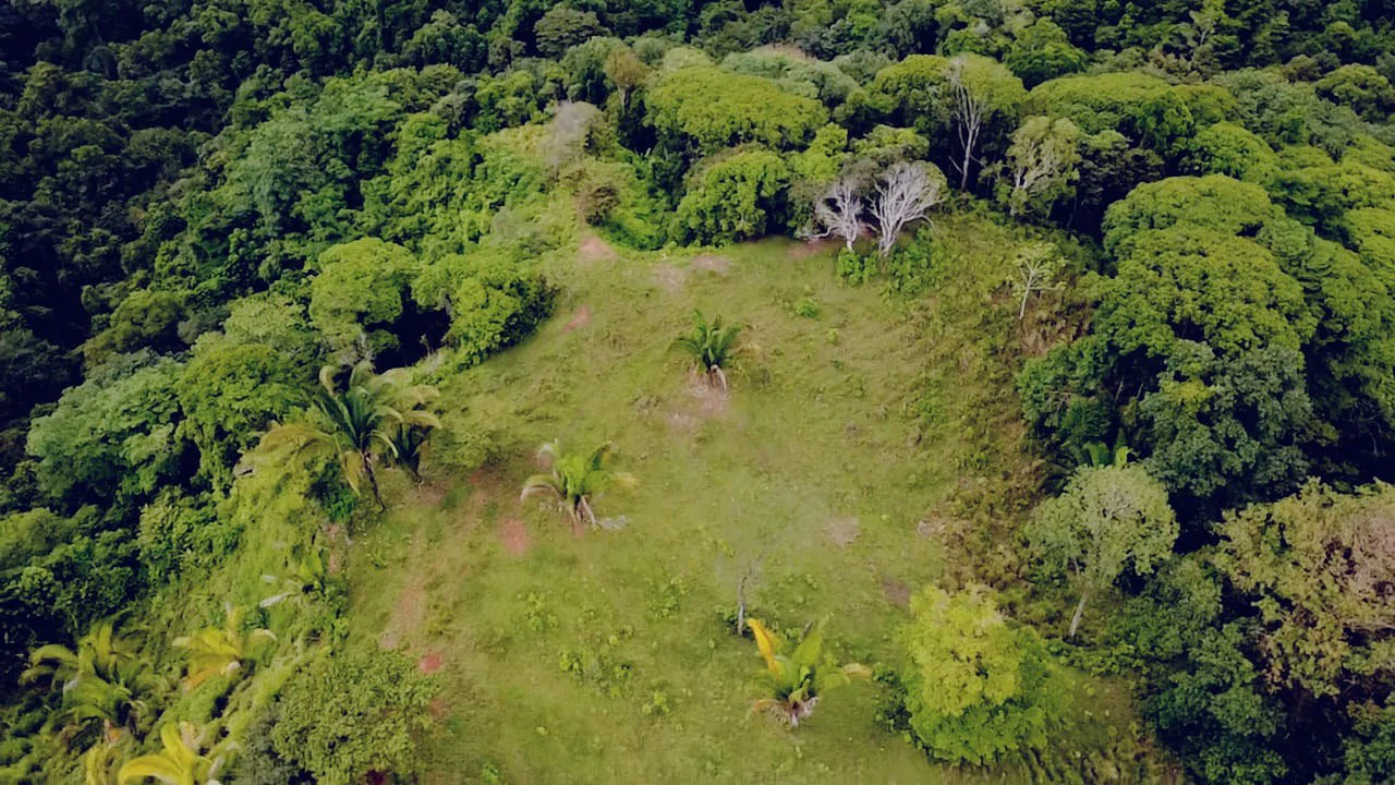Near the Coast Home Construction Site For Sale in Osa - Gallery image 14