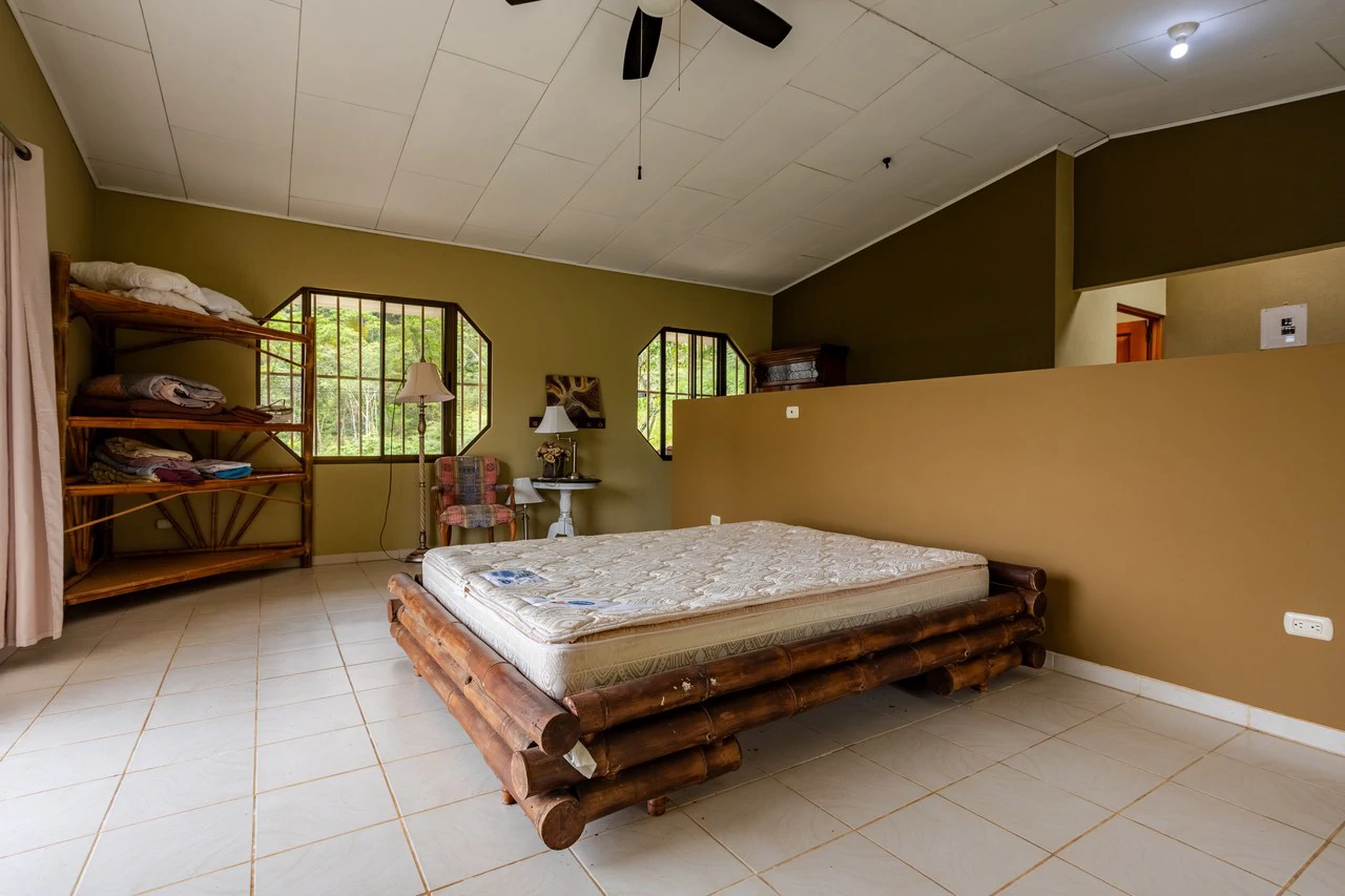 Expansive 27 Acre Farm with Residence in San Isidro del General - Gallery image 47