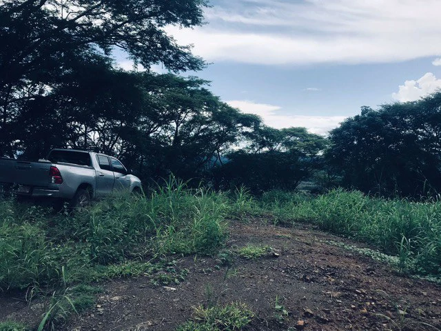 Amazing 50% discount for Huge ocean-view farm for sale surrounded by soft rolling hills and pristine nature - Gallery image 39