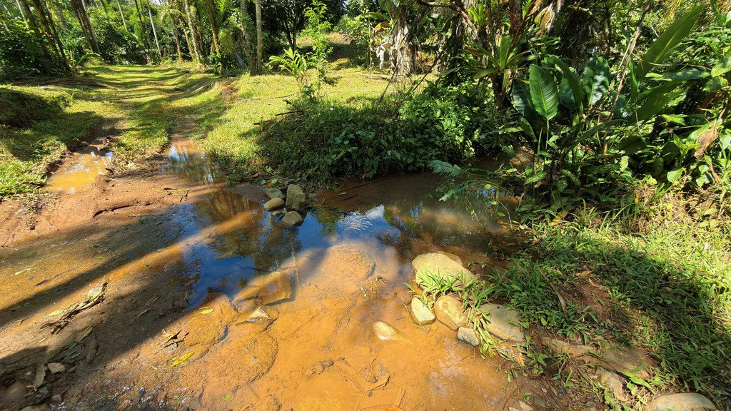 Countryside Agricultural Land For Sale in Pueblo Nuevo - Gallery image 8