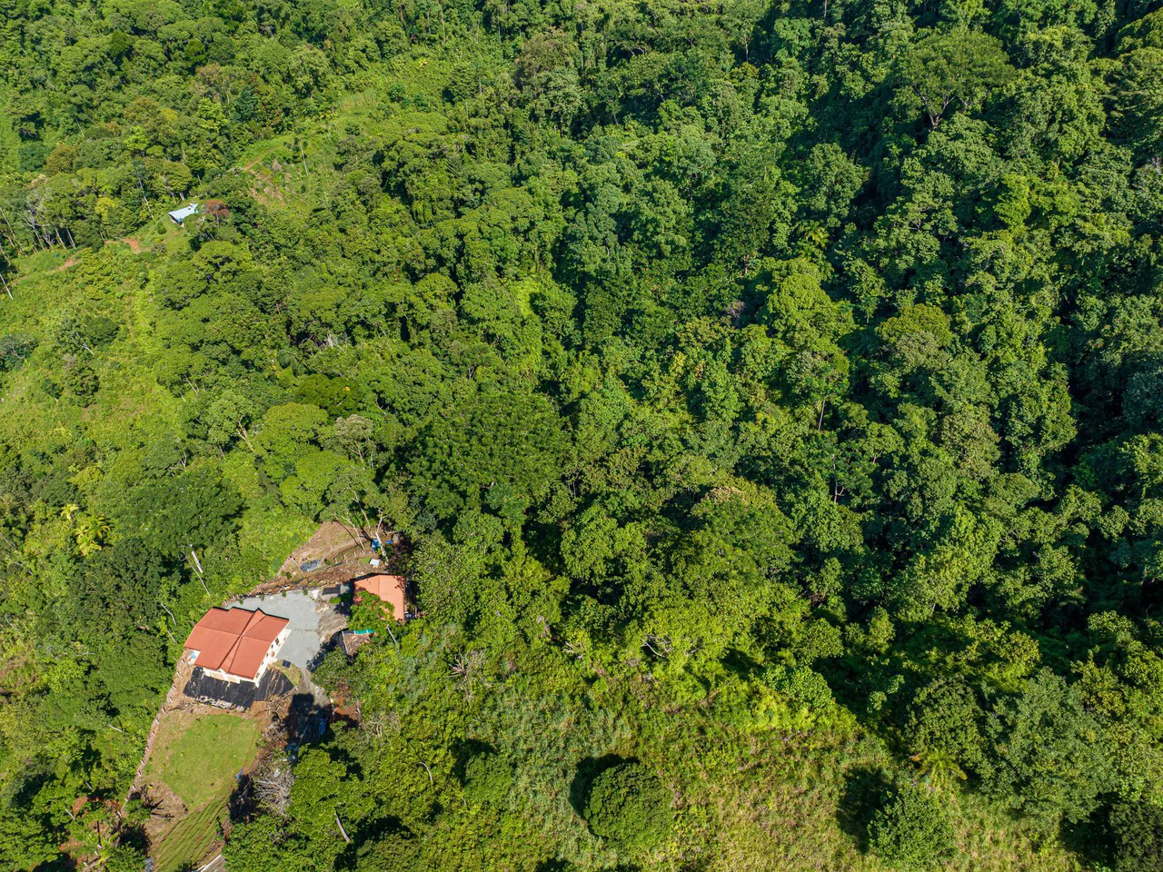 11.25 ACRES- 4 Bedrooms, Two Homes, Panoramic Ocean & Mountain Views With Stream, 30+ Fruit Trees, 40 Minutes to Quepos!!! - Gallery image 56