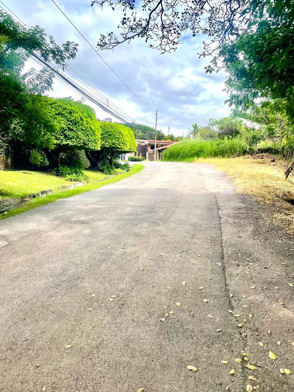 House to Remodel with 1,700 sq m of Land in Pozos, Santa Ana - Gallery image 31